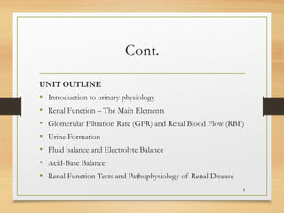 Comprehensive Overview of Urinary System Physiology and Renal Function ...