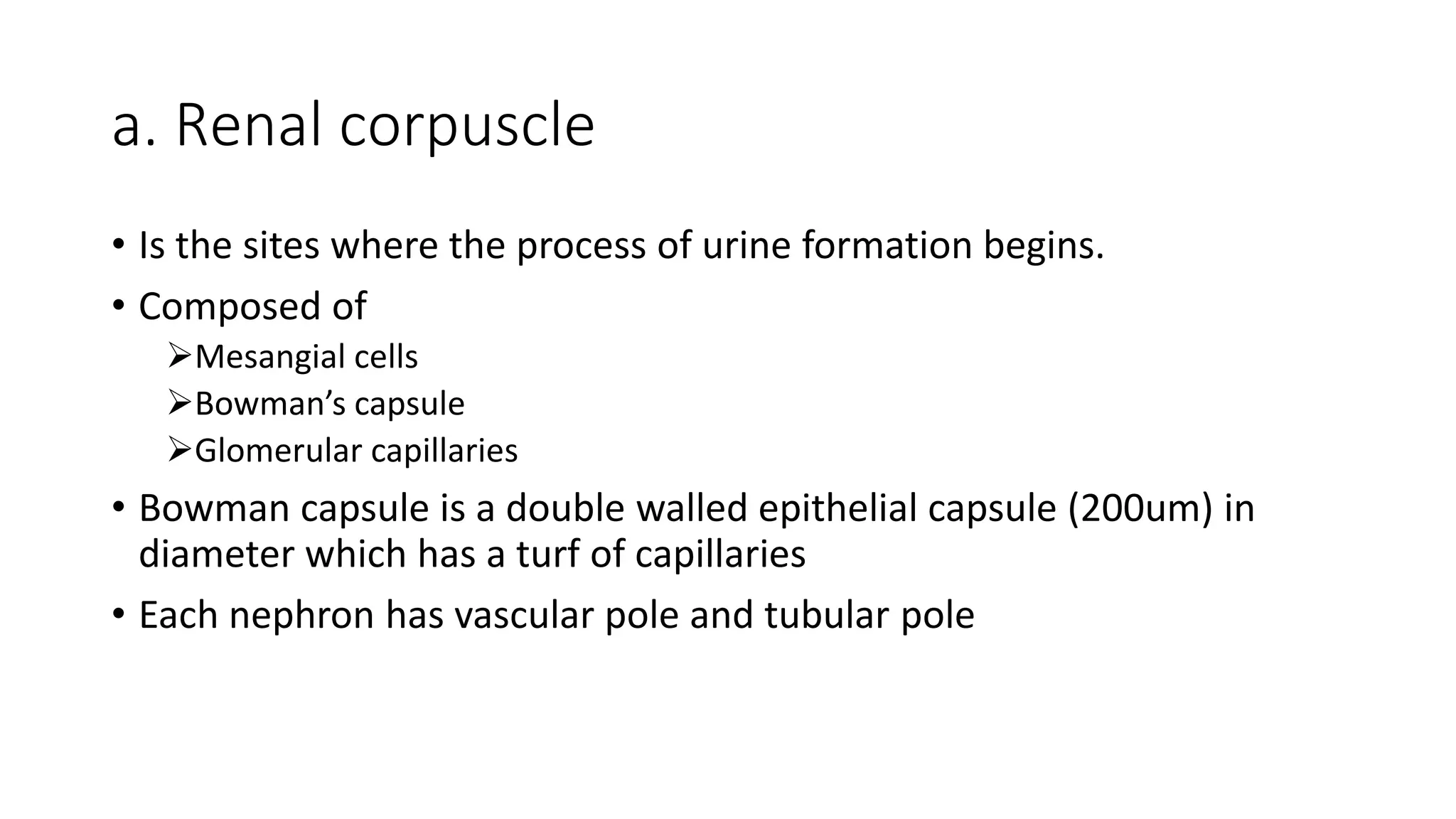 a. Renal corpuscle
• Is the sites where the process of urine formation begins.
• Composed of
Mesangial cells
Bowman’s capsule
Glomerular capillaries
• Bowman capsule is a double walled epithelial capsule (200um) in
diameter which has a turf of capillaries
• Each nephron has vascular pole and tubular pole
 