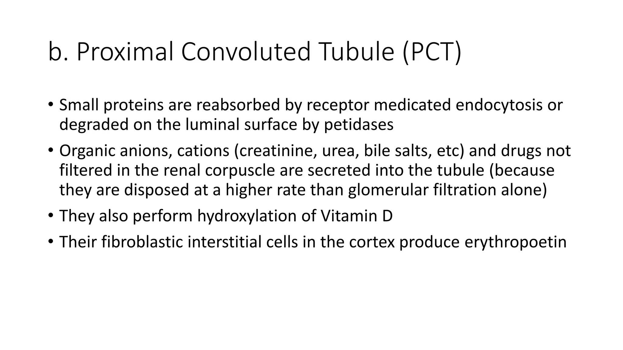 b. Proximal Convoluted Tubule (PCT)
• Small proteins are reabsorbed by receptor medicated endocytosis or
degraded on the luminal surface by petidases
• Organic anions, cations (creatinine, urea, bile salts, etc) and drugs not
filtered in the renal corpuscle are secreted into the tubule (because
they are disposed at a higher rate than glomerular filtration alone)
• They also perform hydroxylation of Vitamin D
• Their fibroblastic interstitial cells in the cortex produce erythropoetin
 