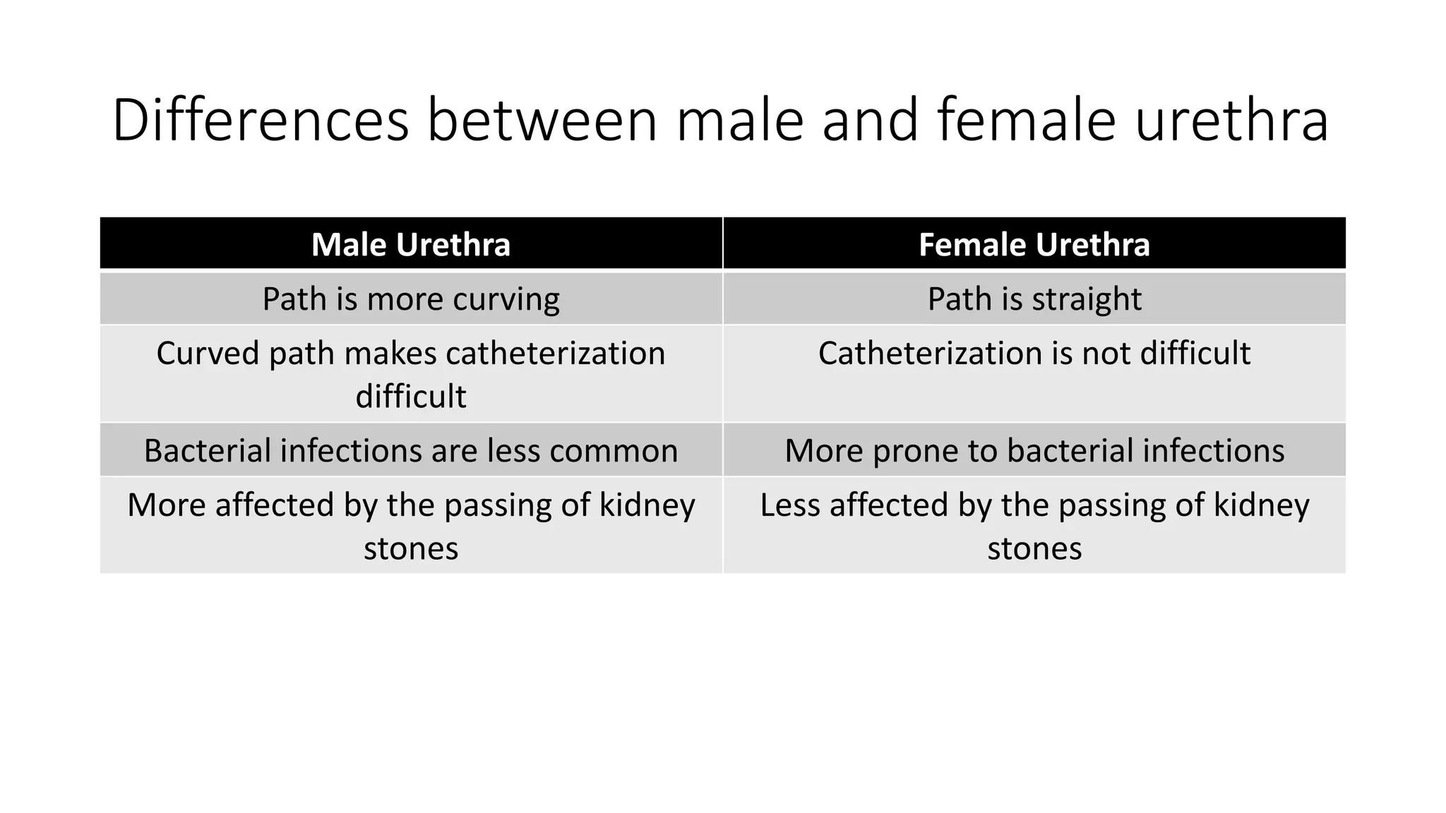Differences between male and female urethra
Male Urethra Female Urethra
Path is more curving Path is straight
Curved path makes catheterization
difficult
Catheterization is not difficult
Bacterial infections are less common More prone to bacterial infections
More affected by the passing of kidney
stones
Less affected by the passing of kidney
stones
 