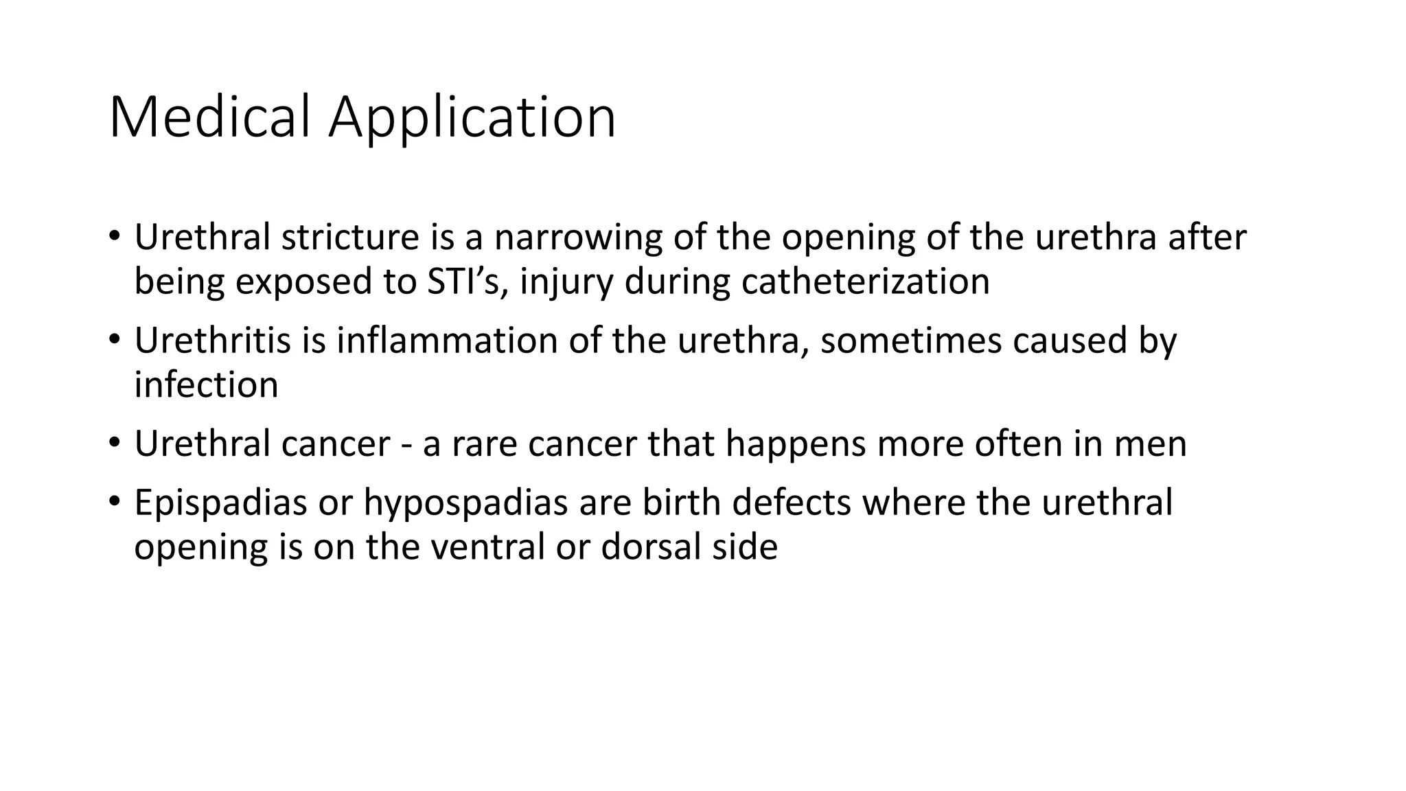 Medical Application
• Urethral stricture is a narrowing of the opening of the urethra after
being exposed to STI’s, injury during catheterization
• Urethritis is inflammation of the urethra, sometimes caused by
infection
• Urethral cancer - a rare cancer that happens more often in men
• Epispadias or hypospadias are birth defects where the urethral
opening is on the ventral or dorsal side
 