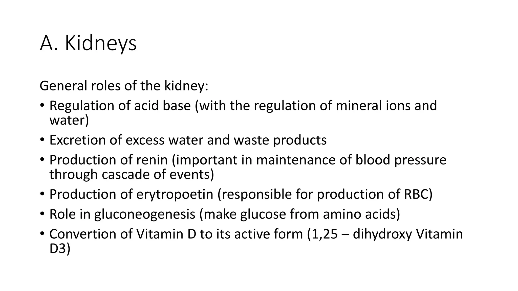 A. Kidneys
General roles of the kidney:
• Regulation of acid base (with the regulation of mineral ions and
water)
• Excretion of excess water and waste products
• Production of renin (important in maintenance of blood pressure
through cascade of events)
• Production of erytropoetin (responsible for production of RBC)
• Role in gluconeogenesis (make glucose from amino acids)
• Convertion of Vitamin D to its active form (1,25 – dihydroxy Vitamin
D3)
 
