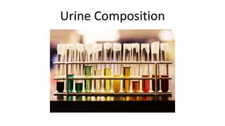Urine Composition
 