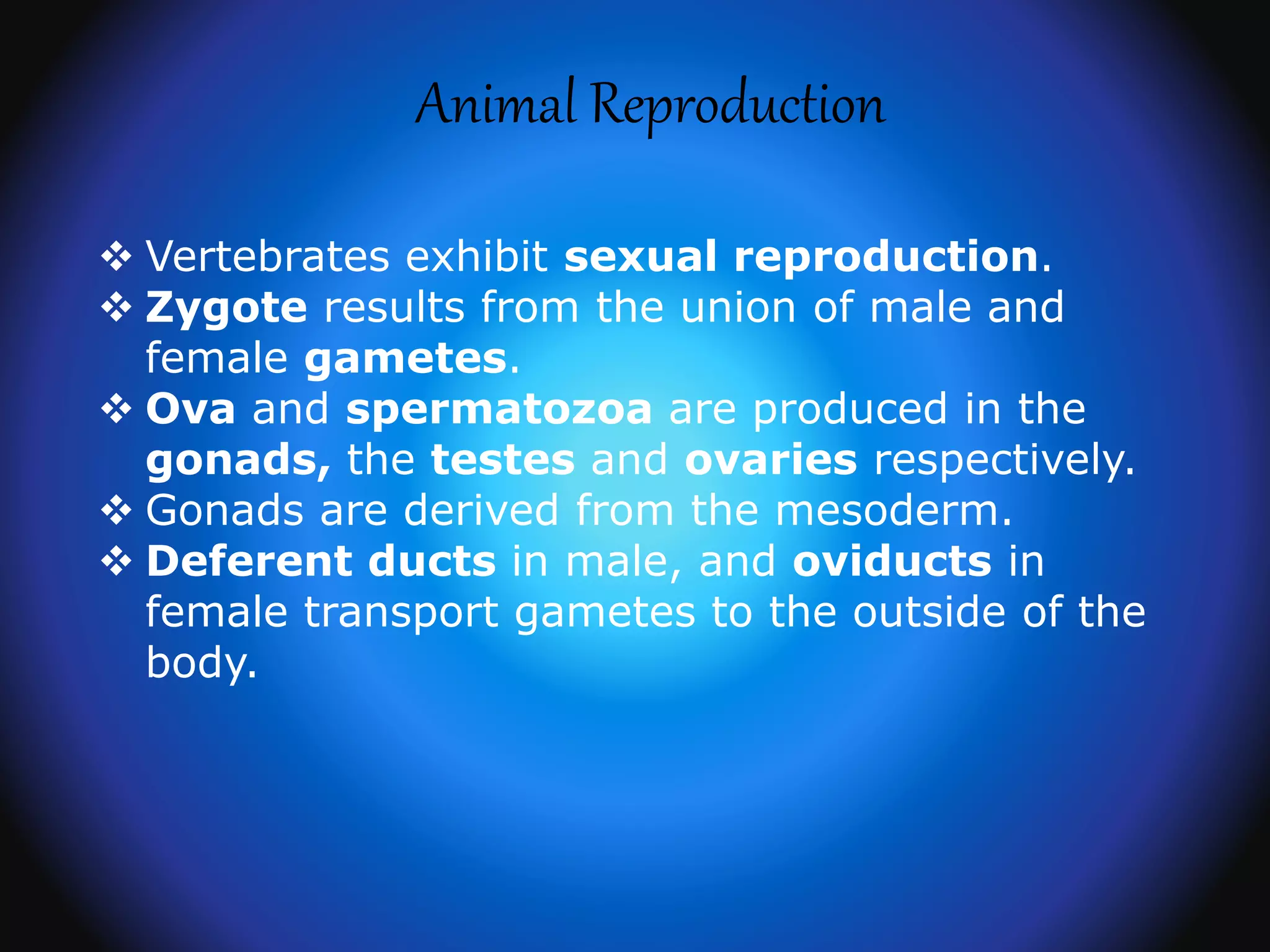 Animal Reproduction
 Vertebrates exhibit sexual reproduction.
 Zygote results from the union of male and
female gametes.
 Ova and spermatozoa are produced in the
gonads, the testes and ovaries respectively.
 Gonads are derived from the mesoderm.
 Deferent ducts in male, and oviducts in
female transport gametes to the outside of the
body.
 