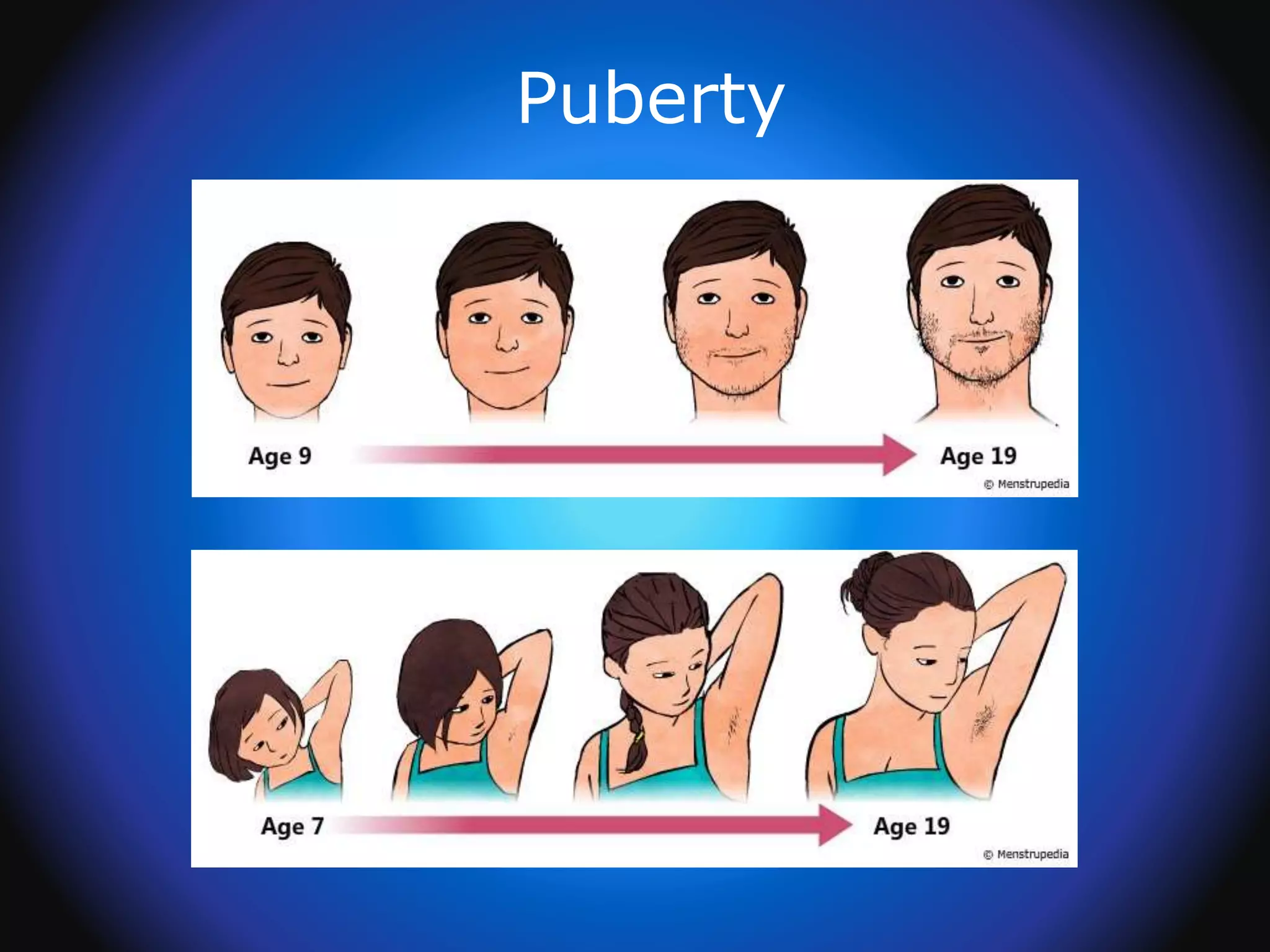 Puberty
 