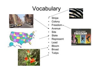 Vocabulary Stripe Colony Freedom Avenue Site State Represent Lead Bloom Broad Tulips 