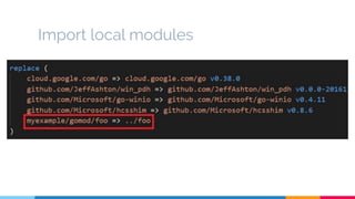 Go Import The usage and dependency resolving mechanism of go module | PDF