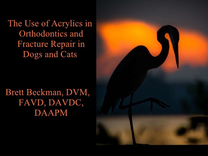 The use of acrylics in orthodontics and fracture repair in dogs and c…