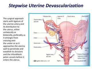 The use of algorithms & emergency boxes in obstetric emergency | PPTX