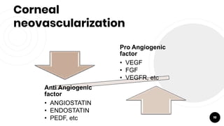 The use of anti vegf in corneal neovascularization | PPTX