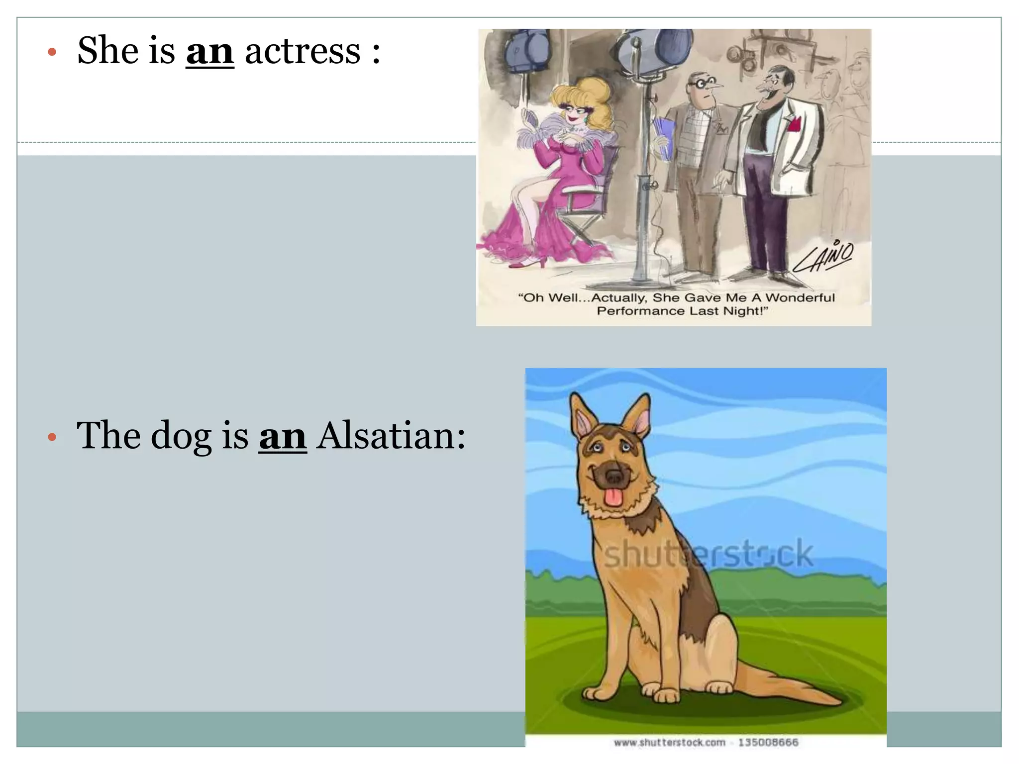 • She is an actress :
• The dog is an Alsatian: