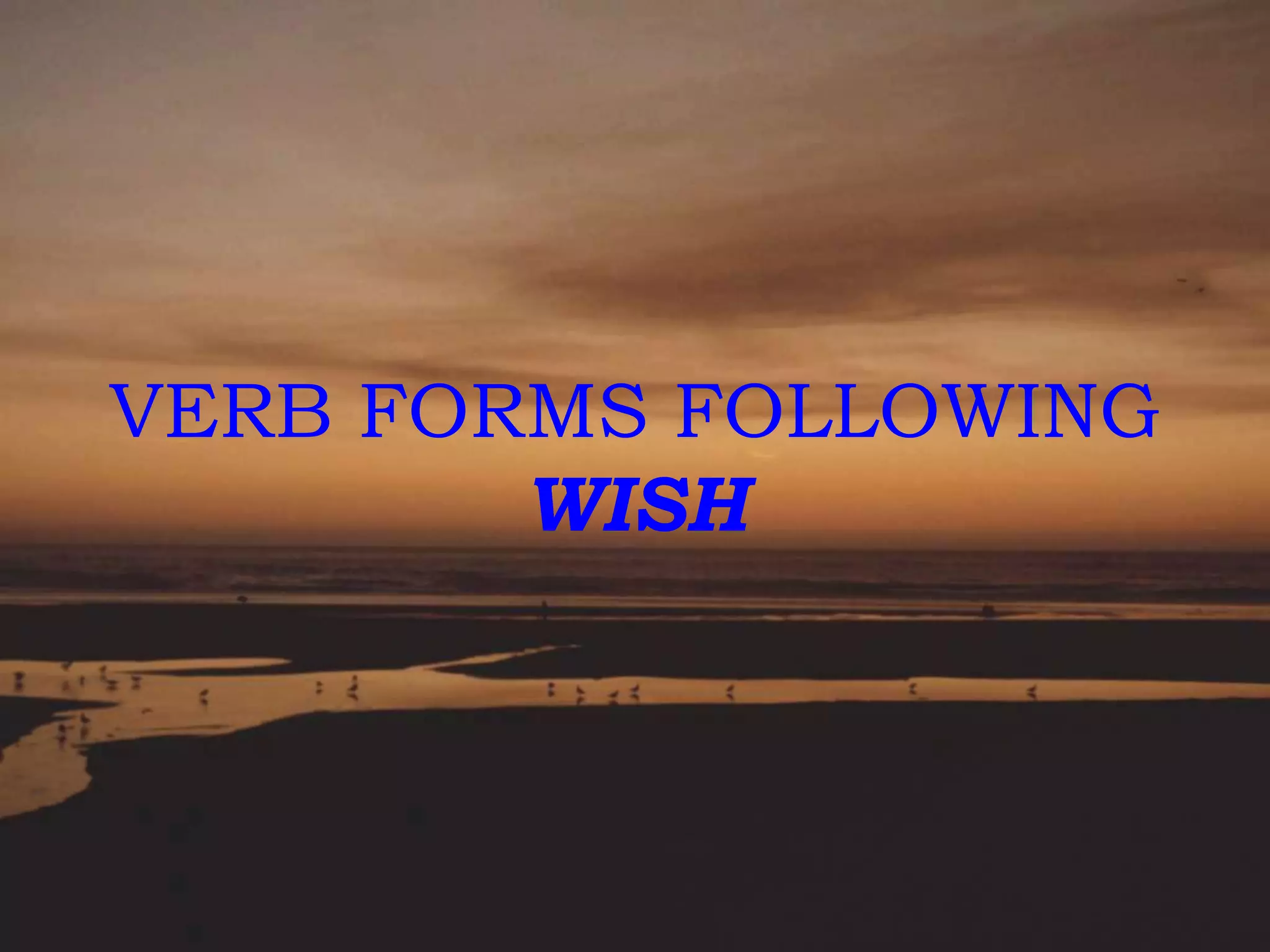 VERB FORMS FOLLOWING
WISH

 