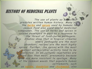 HISTORY OF MEDICINAL PLANTS
                          The use of plants as medicines
         predates written human history. Many of
            the herbs and spices used by humans to
              season food also yield useful medicinal
      compounds. The use of herbs and spices in
       cuisine developed in part as a response to
                 the threat of food-borne pathogens.
               Studies show that in tropical climates
                            where pathogens are the most
               abundant, recipes are the most highly
       spiced. Further, the spices with the most
            potent antimicrobial activity tend to be
            selected. In all cultures vegetables are
      s p i c e d l e s s t h a n m e a t , p r e s u m a b l y b e c a u se
       they are more resistant to spoilage. Many
       of the common weeds that populate human
                                               s e t t l e m e n t s, s u c h
           as nettle, dandelion and chickweed, also
 