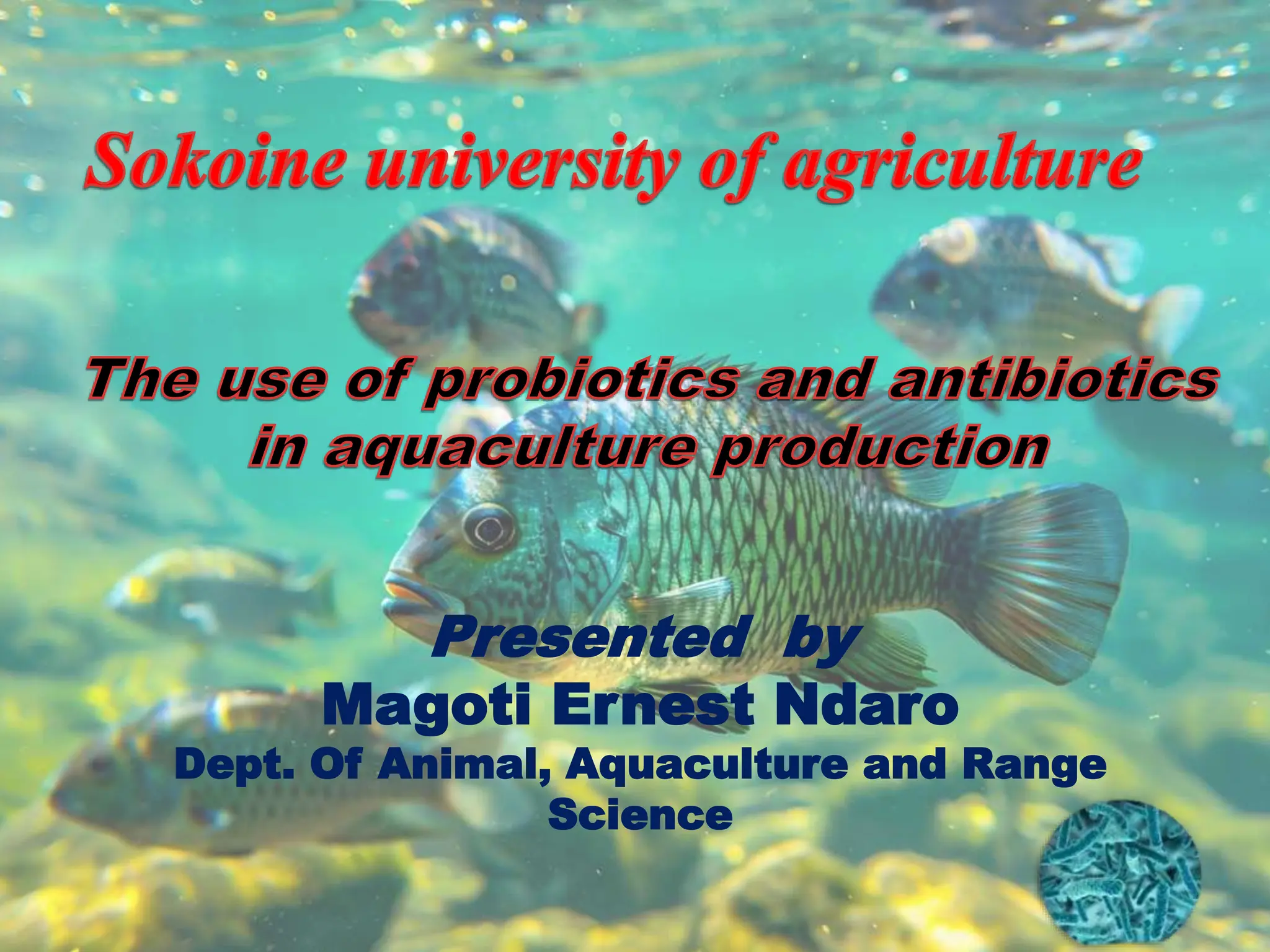 The use of probiotics and antibiotics in aquaculture production.pptx
