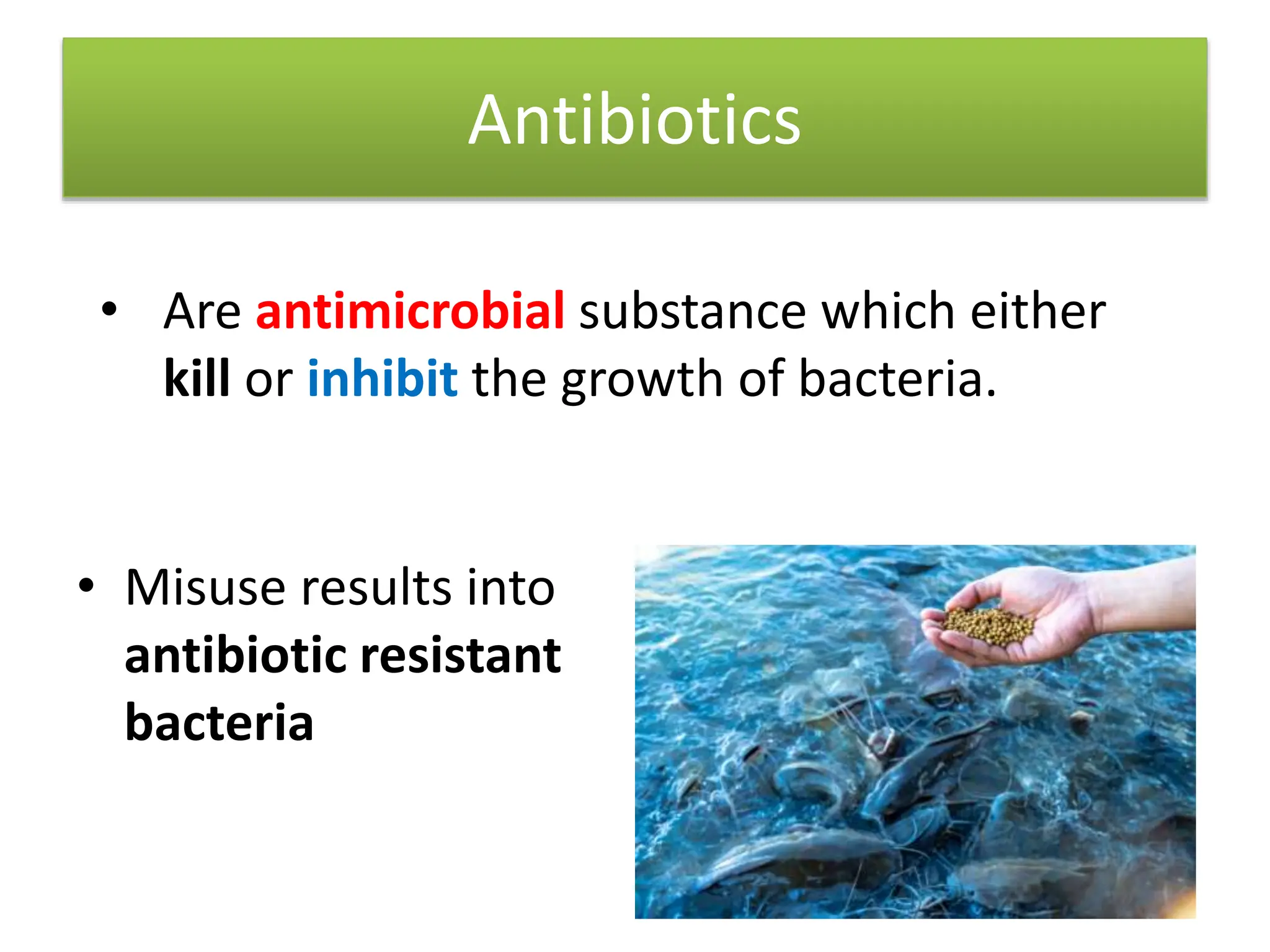 The use of probiotics and antibiotics in aquaculture production.pptx