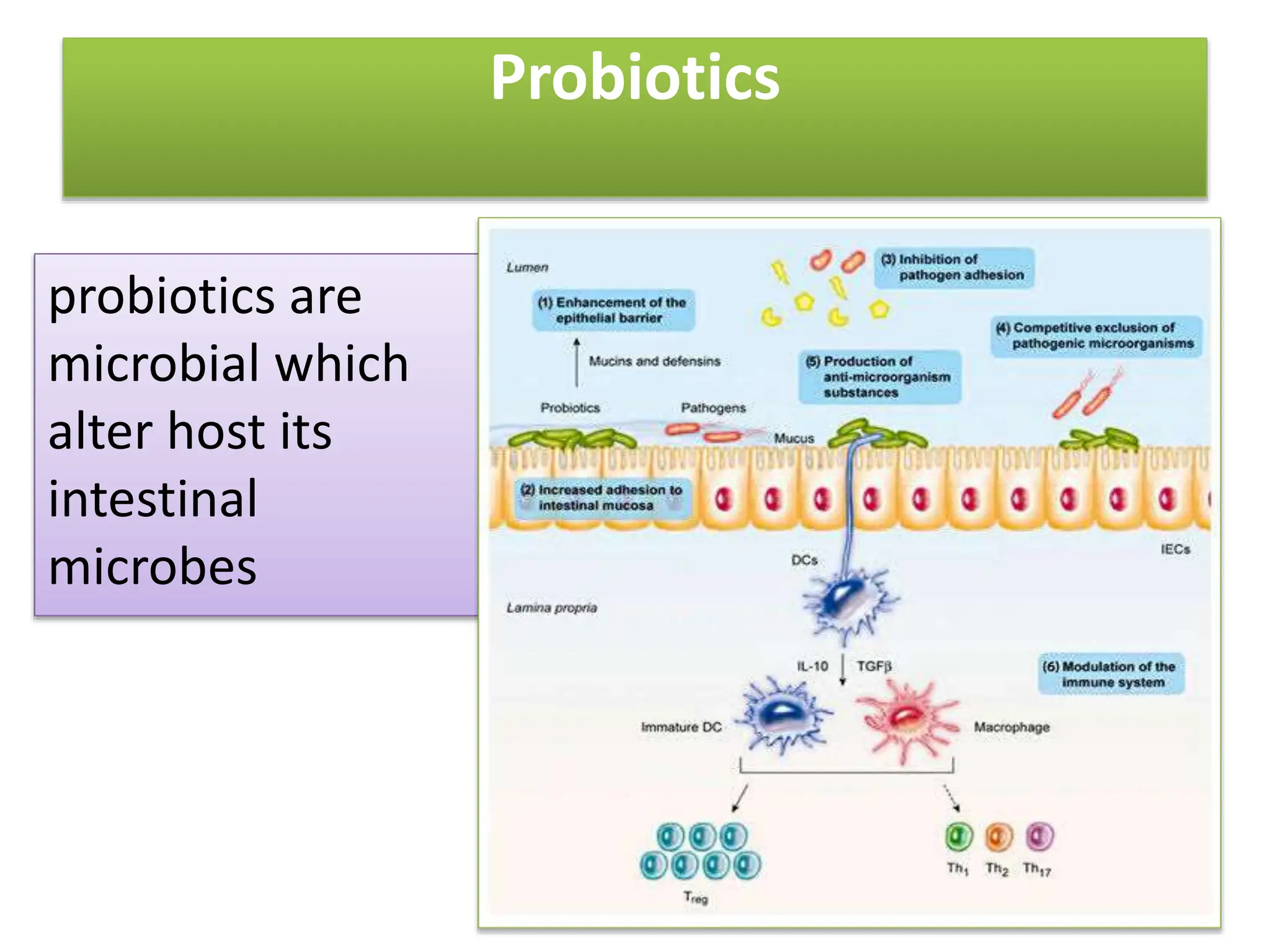 The use of probiotics and antibiotics in aquaculture production.pptx