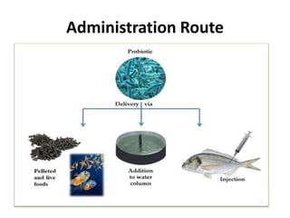 The use of probiotics and antibiotics in aquaculture production.pptx