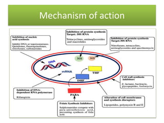 The use of probiotics and antibiotics in aquaculture production.pptx