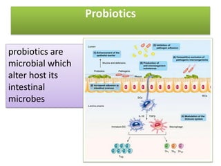 The use of probiotics and antibiotics in aquaculture production.pptx