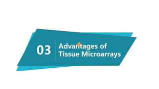 Advantages of
Tissue Microarrays03
 