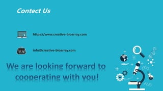 Contect Us
https://www.creative-bioarray.com
info@creative-bioarray.com
 