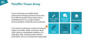 Paraffin Tissue Array
01
Tissue microarrays are paraffin blocks
produced by extracting cylindrical tissue cores
from different paraffin donor blocks and re-
embedding these into a single recipient
(microarray) block at defined array coordinates.
It can permit simultaneous analysis of molecular
targets at the DNA, mRNA, and protein levels
under identical, standardized conditions on a
single glass slide, and also provide maximal
preservation and use of limited and irreplaceable.
Up to 1000
Sample
DNA mRNA
Preservation
Molecular
Targets
Protein
 