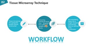 Tissue Microarray Technique02
Tissue microarrays
are composite
paraffin blocks
constructed
Extracting
cylindrical tissue
core “biopsies”
from different
paraffin donor
blocks
Re-embedding
these into a
single recipient
(microarray)
block at defined
array
coordinates
WORKFLOW
 