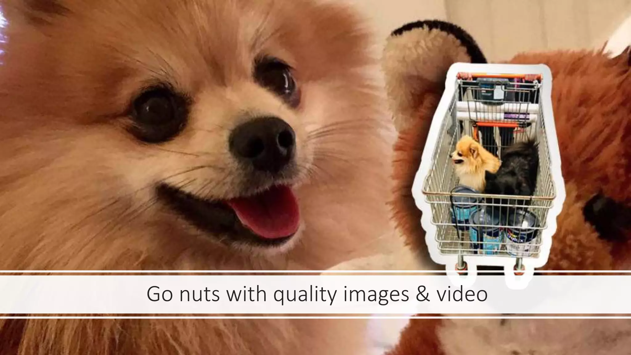 Go nuts with quality images & video
 