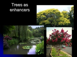 Trees as
enhancers
 