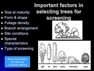 Important factors in
selecting trees for
screening
 Size at maturity
 Form & shape
 Foliage density
 Branch arrangement
 Site conditions
 Special
characteristics
 Type of screening
Mass tree planting
Mix planting
Container planting
 