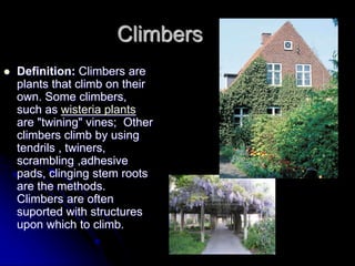 Climbers
 Definition: Climbers are
plants that climb on their
own. Some climbers,
such as wisteria plants
are "twining" vines; Other
climbers climb by using
tendrils , twiners,
scrambling ,adhesive
pads, clinging stem roots
are the methods.
Climbers are often
suported with structures
upon which to climb.
 