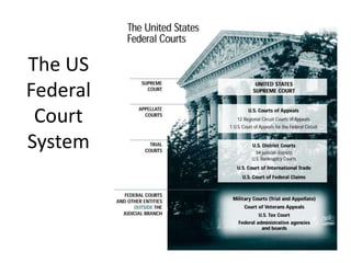 The US
Federal
 Court
System
 