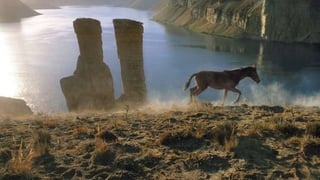 The Soviet-Afghan war