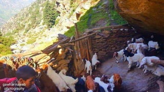 The Soviet-Afghan war