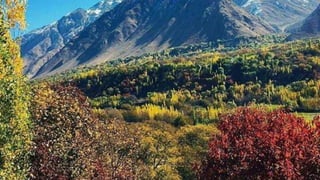 The Soviet-Afghan war