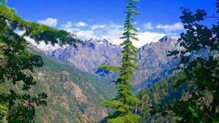 The Soviet-Afghan war