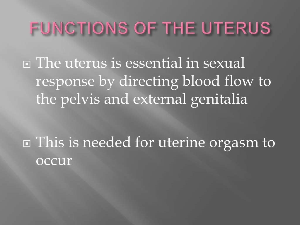 The uterus medical terminology p1