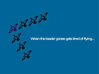 When the leader goose gets tired of flying... 