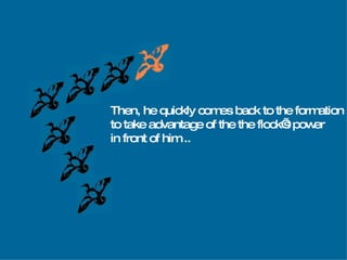 Then, he quickly comes back to the formation to take advantage of the the flock’s power in front of him   .. 