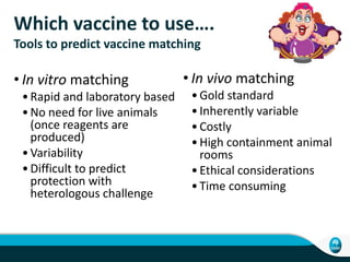 Which vaccine to use….
Tools to predict vaccine matching
• In vitro matching
•Rapid and laboratory based
•No need for live...
