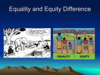 The Values of Democracy and representation.ppt