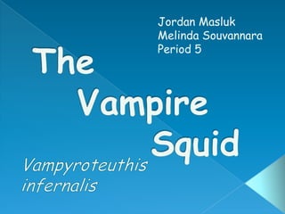 The     Vampire          Squid Jordan Masluk Melinda Souvannara Period 5 Vampyroteuthis infernalis 