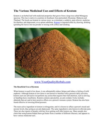 The Various Medicinal Uses and Effects of Kratom
Kratom is an herbal leaf with medicinal properties that grows from a large tree called Mitragyna
speciosa. This tree is native to countries in Southeast Asia particularly Myanmar, Malaysia and
Thailand. The locals use kratom in various ways: as a stimulant, a sedative, pain reliever, medicine
for diarrhea, anti-depressant, or as opium substitute. Kratom is ingested either by chewing, drinking
(grinding the leaves into tea powder or mixing with coffee) and smoking.




                           www.YourQualityHerbals.com
The Beneficial Uses of Kratom

When kratom is used in low doses, it can substantially reduce fatigue and induce a feeling of mild
euphoria. Although kratom in low doses is not known to interfere with a person's daily activities,
kratom users are advised to not perform any action that requires their full attention, such as driving
or handling heavy machinery. Kratom contains epicatechin, an anti-oxidant. It also includes
alkaloids that are said to have positive effects on a person's immune system. Kratom has also been
found effective in lowering blood pressure.

The main active ingredient in kratom is mitragynine, and it is known to affect a person's mood and
anxiety levels, thus acting as an anti-depressant. The same ingredient is also known to alleviate pain.
There are also reports of people with hay fever getting well after kratom use. Many people also
claim that using kratom helped them get better from a number of different illnesses, and appears to
have various medicinal uses.
 