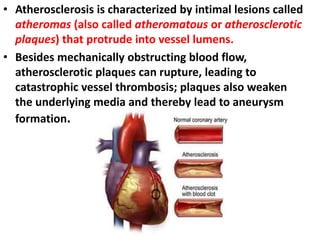 • Atherosclerosis is characterized by intimal lesions called
atheromas (also called atheromatous or atherosclerotic
plaque...