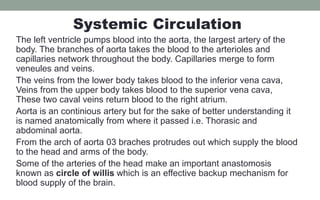 Systemic Circulation
The left ventricle pumps blood into the aorta, the largest artery of the
body. The branches of aorta takes the blood to the arterioles and
capillaries network throughout the body. Capillaries merge to form
veneules and veins.
The veins from the lower body takes blood to the inferior vena cava,
Veins from the upper body takes blood to the superior vena cava,
These two caval veins return blood to the right atrium.
Aorta is an continious artery but for the sake of better understanding it
is named anatomically from where it passed i.e. Thorasic and
abdominal aorta.
From the arch of aorta 03 braches protrudes out which supply the blood
to the head and arms of the body.
Some of the arteries of the head make an important anastomosis
known as circle of willis which is an effective backup mechanism for
blood supply of the brain.
 