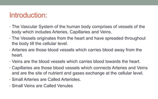 Introduction:
• The Vascular System of the human body comprises of vessels of the
body which includes Arteries, Capillaries and Veins.
• The Vessels originates from the heart and have spreaded throughout
the body till the cellular level.
• Arteries are those blood vessels which carries blood away from the
heart.
• Veins are the blood vessels which carries blood towards the heart.
• Capillaries are those blood vessels which connects Arteries and Veins
and are the site of nutrient and gases exchange at the cellular level.
• Small Arteries are Called Arterioles.
• Small Veins are Called Venules
 