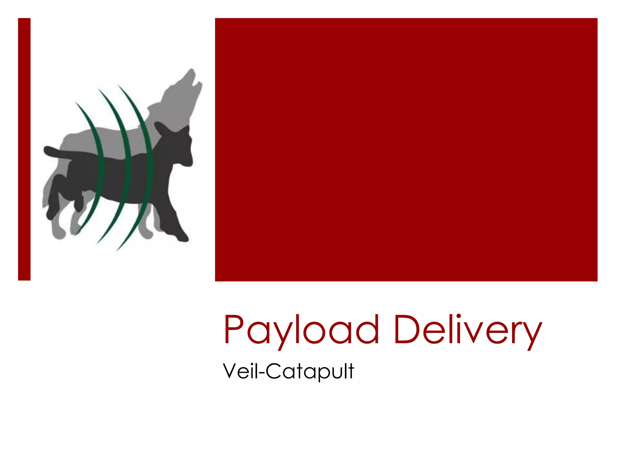 Payload Delivery
Veil-Catapult
 