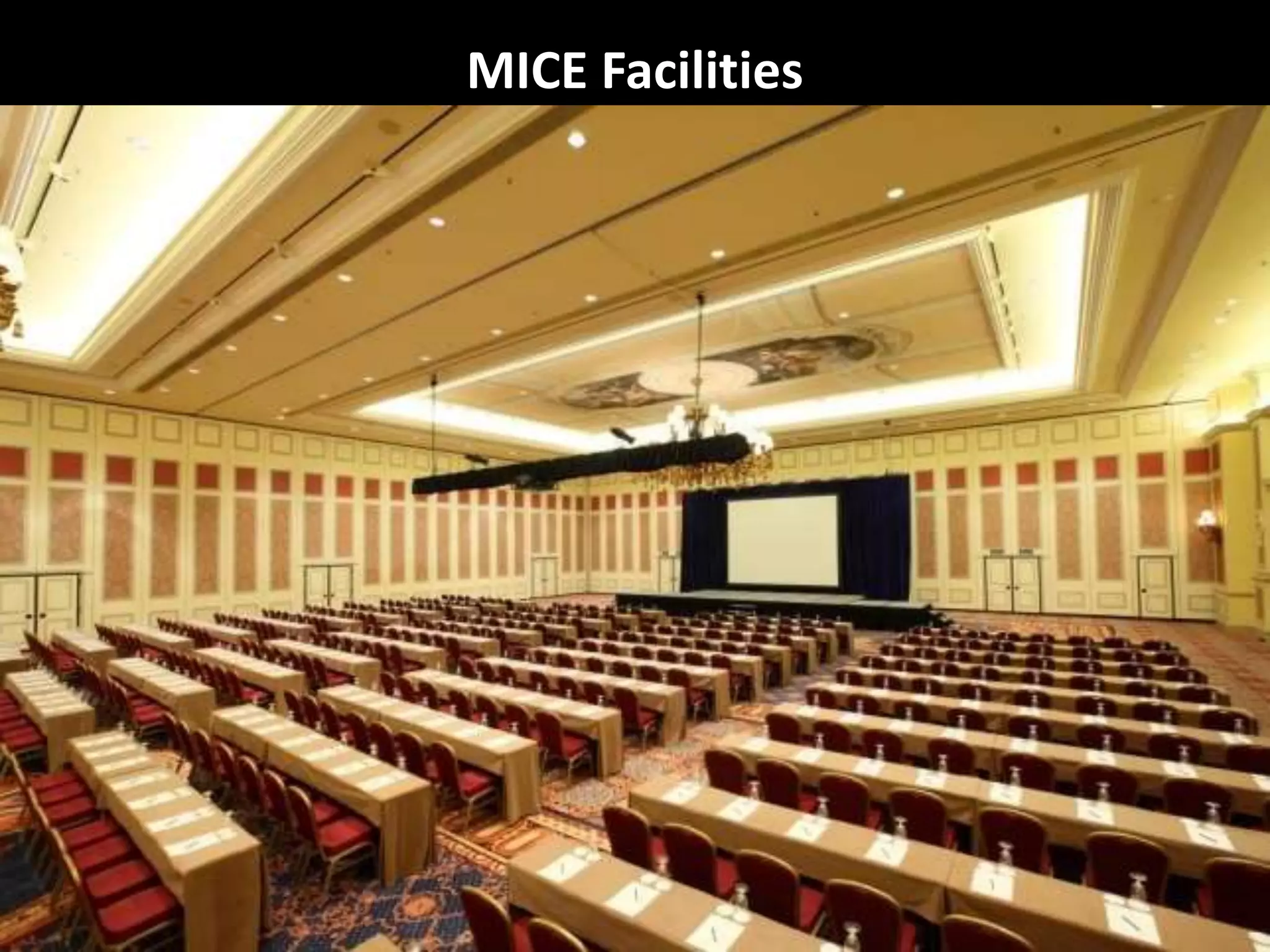 MICE Facilities
 