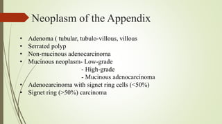 The Vermiform Appendix.pptx