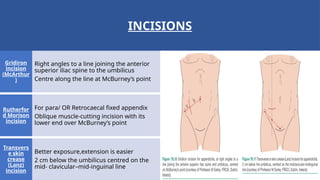 The Vermiform appendix - Dr Saket Bhardwaj | PPTX